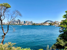 Sydney’s Heat Is Rising. Here’s How to Keep Your Home Comfortable